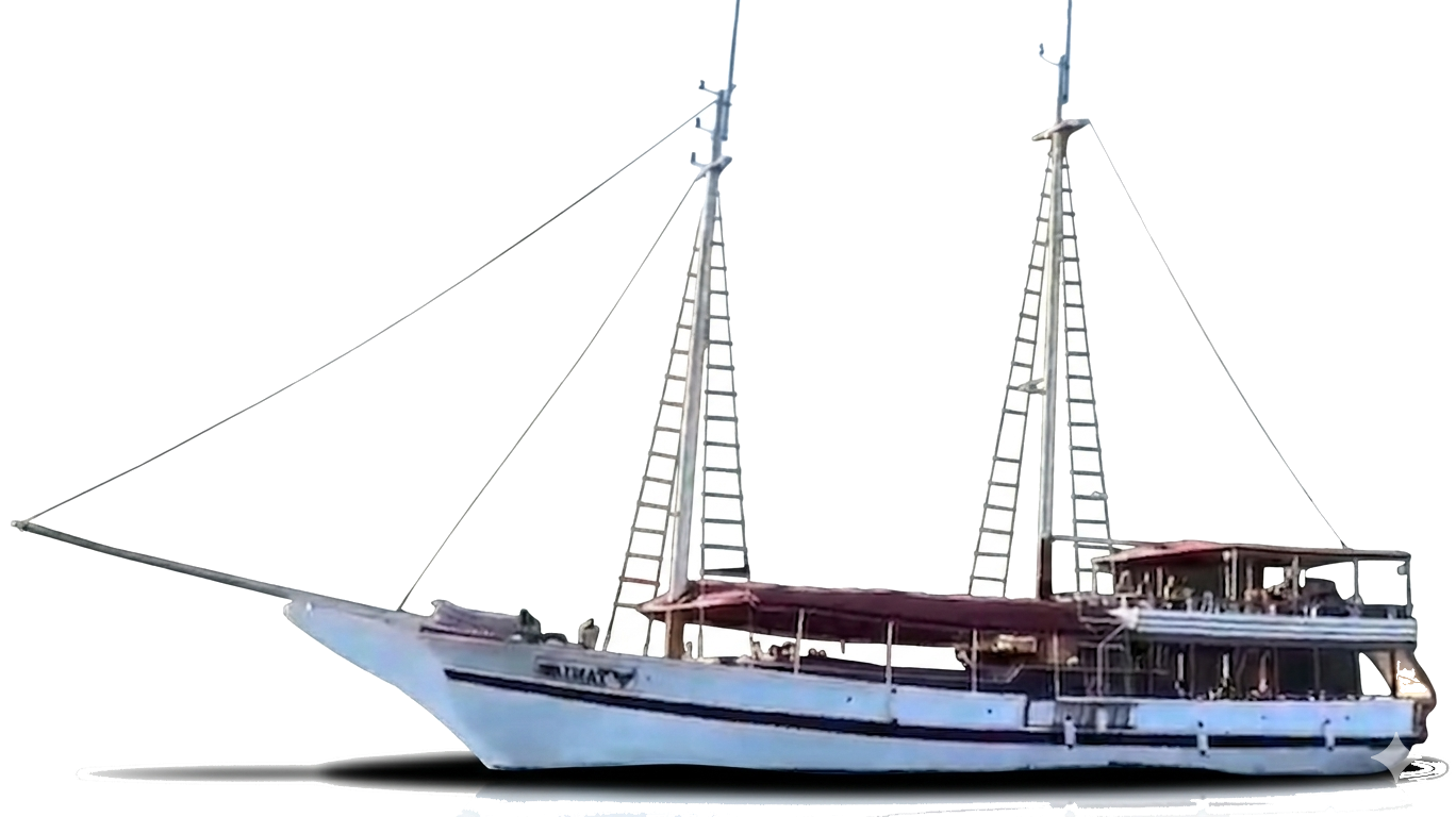 Passeios de Escuna em Paraty, RJ